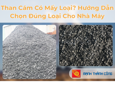 Than C&aacute;m C&oacute; Mấy Loại? Hướng Dẫn Chọn Đ&uacute;ng Loại Cho Nh&agrave; M&aacute;y