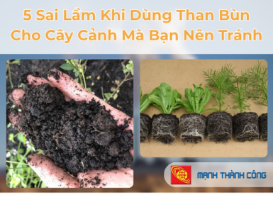 5 Sai Lầm Khi D&ugrave;ng Than B&ugrave;n Cho C&acirc;y Cảnh M&agrave; Bạn N&ecirc;n Tr&aacute;nh