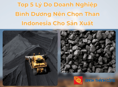 Top 5 Lý Do Doanh Nghiệp Bình Dương Nên Chọn Than Indonesia Cho Sản Xuất