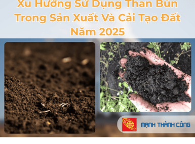 Xu Hướng Sử Dụng Than Bùn Trong Sản Xuất Và Cải Tạo Đất Năm 2025