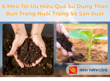 6 Mẹo Tối Ưu Hiệu Quả Sử Dụng Than Bùn Trong Nuôi Trồng Và Sản Xuất