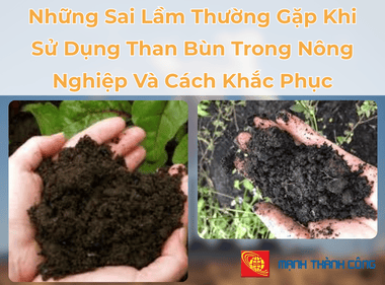 Những Sai Lầm Thường Gặp Khi Sử Dụng Than Bùn Trong Nông Nghiệp Và Cách Khắc Phục