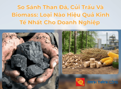 So Sánh Than Đá, Củi Trấu Và Biomass: Loại Nào Hiệu Quả Kinh Tế Nhất Cho Doanh Nghiệp Tp.hcm?