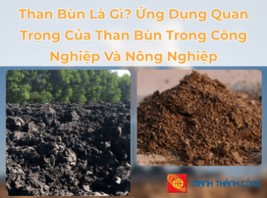 Than Bùn Là Gì? Ứng Dụng Quan Trọng Của Than Bùn Trong Công Nghiệp Và Nông Nghiệp