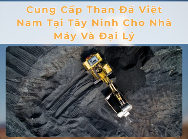Cung Cấp Than Đá Việt Nam Tại Tây Ninh Cho Nhà Máy Và Đại Lý
