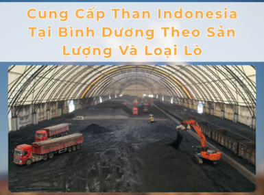 Cung Cấp Than Indonesia Tại Bình Dương Theo Sản Lượng Và Loại Lò