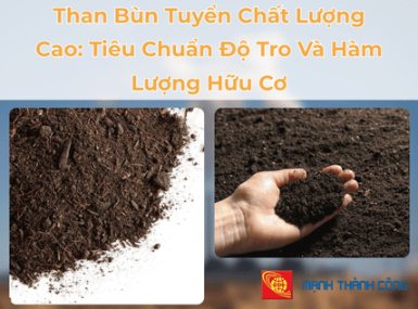 Than Bùn Tuyển Chất Lượng Cao Tại Bình Dương – Độ Tro Thấp, Hữu Cơ Cao