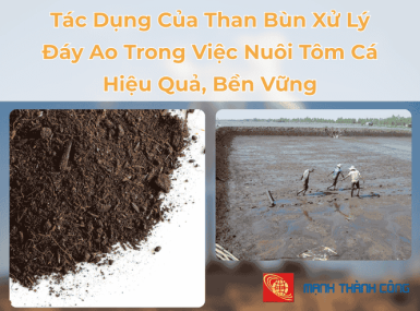 Tác Dụng Của Than Bùn Xử Lý Đáy Ao Trong Việc Nuôi Tôm Cá Hiệu Quả, Bền Vững