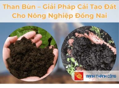Than Bùn – Giải Pháp Cải Tạo Đất Cho Nông Nghiệp Đồng Nai