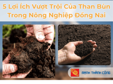 5 Lợi Ích Vượt Trội Của Than Bùn Trong Nông Nghiệp Đồng Nai