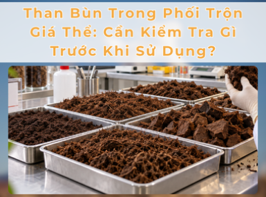 Than Bùn Trong Phối Trộn Giá Thể: Cần Kiểm Tra Gì Trước Khi Sử Dụng?