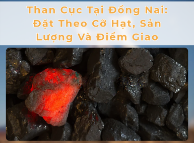 Than Cục Tại Đồng Nai: Đặt Theo Cỡ Hạt, Sản Lượng Và Điểm Giao