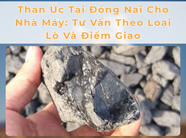 Than Úc Tại Đồng Nai Cho Nhà Máy: Tư Vấn Theo Loại Lò Và Điểm Giao
